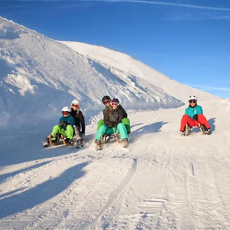 In Wald Near Krimml Waterfalls