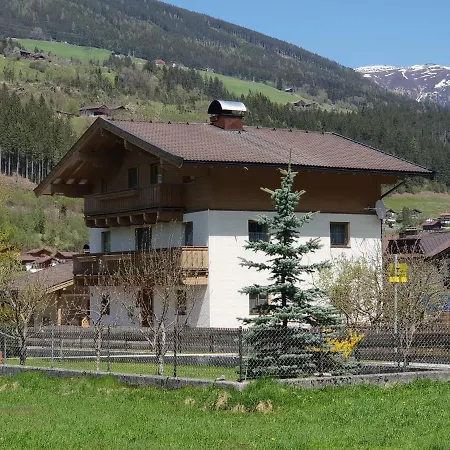 In Wald Near Krimml Waterfalls Wald im Pinzgau