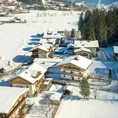 In Wald Near Krimml Waterfalls Wald im Pinzgau